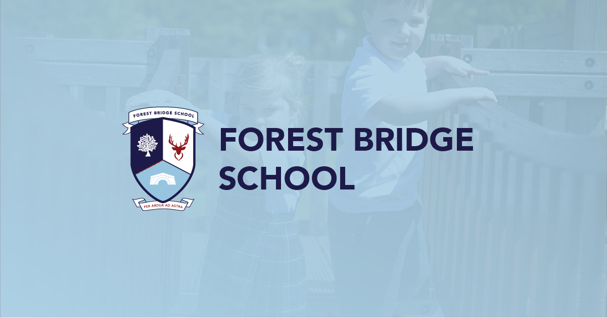 Meet the Staff | Forest Bridge School